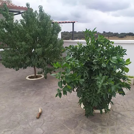 Holiday home El Candil Olivenza